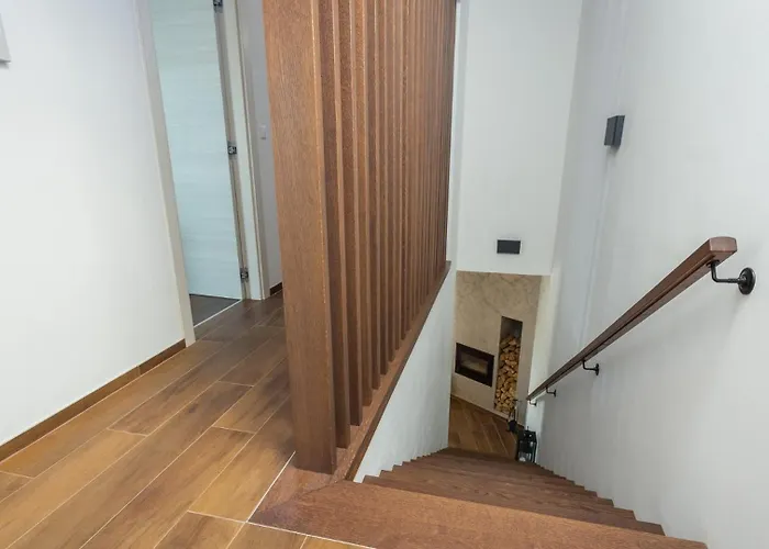 Leonardo By 波雷奇